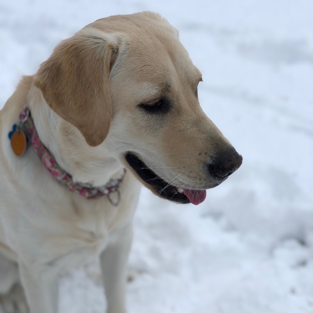 Meet your Posher, Hannah